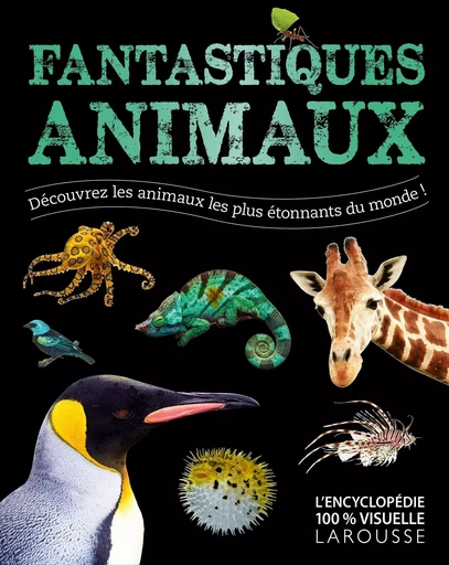 Fantastiques Animaux -  Collectif - LAROUSSE