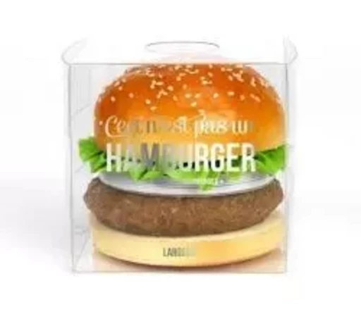 Ceci n'est pas un hamburger - Blandine Boyer - LAROUSSE