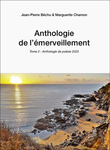 Anthologie de l'émerveillement -  - Les Editions du Net