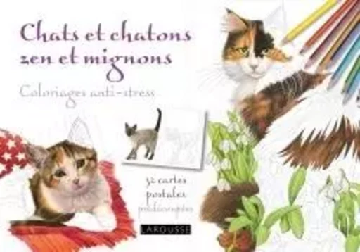 Chats et chatons zen et mignons coloriages anti-stress /cartes postales -  Collectif - LAROUSSE