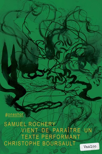 Vient De Paraître Un Livre Performant - Samuel ROCHERY - VANLOO