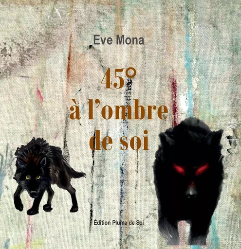 45°à l'ombre de soi -  Eve Mona - PLUME DE SOI