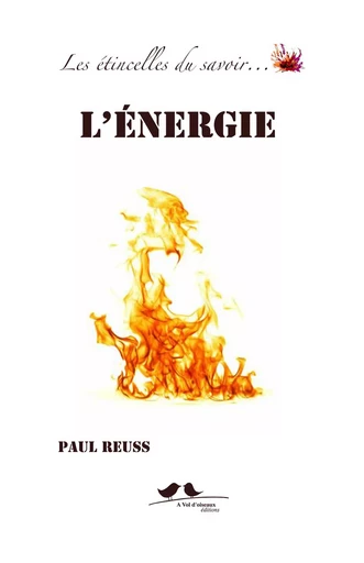 Les étincelles du savoir : l'énergie - Reuss Paul - VOL OISEAUX