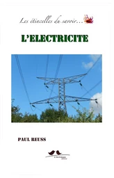 Les étincelles du savoir : l'électricité