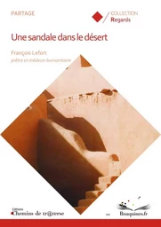 Une sandale dans le désert