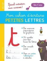 Mon cahier d'écriture PETITES LETTRES dès 5 ans