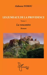 Les jumeaux de la providence. Roman Tome 1