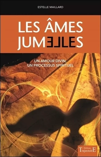 Les âmes jumelles - Un amour divin - Un processus spirituel - Estelle Maillard - PIKTOS