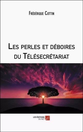 Les perles et déboires du Télésecrétariat - Frédérique Cottin - Les Editions du Net