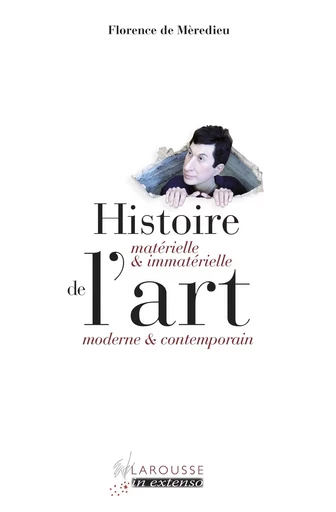 Histoire matérielle et immatérielle de l'art moderne et contemporain - Florence deMèredieu - LAROUSSE