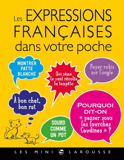 Les expressions Françaises dans votre poche -  Collectif - LAROUSSE