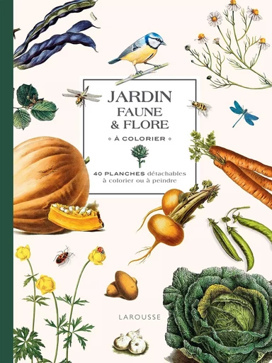 Jardin Faune et flore à colorier -  - DESSAIN TOLRA