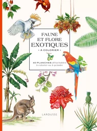 Faune et flore exotiques à colorier