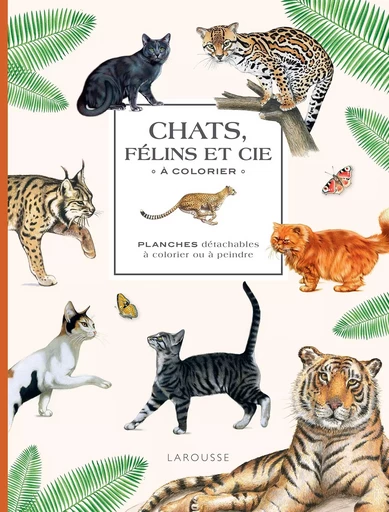 Chats, félins et Cie à colorier -  - DESSAIN TOLRA