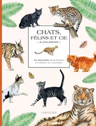 Chats, félins et Cie à colorier