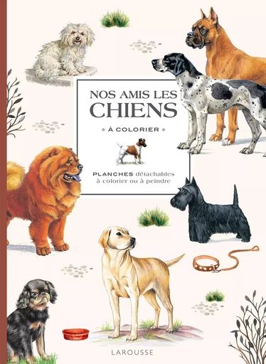 Nos amis les chiens à  colorier -  - LAROUSSE