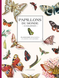 Papillons du monde à colorier