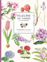 Fleurs du jardin à colorier