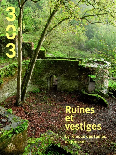 Ruines et vestiges - Thomas Renard - ASSOCIATION 303