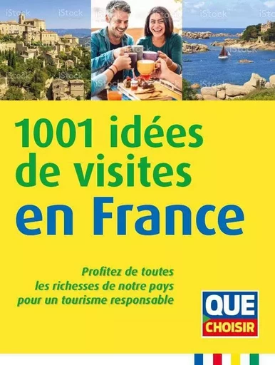 1001 idées de visites en France -  ANONYME - QUE CHOISIR