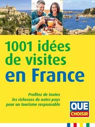 1001 idées de visites en France