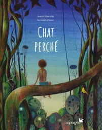 Chat perché