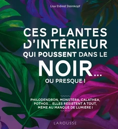 Ces plantes d'intérieur qui poussent dans le noir... ou presque !