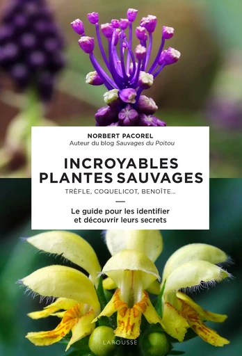 Incroyables plantes sauvages - Norbert Pacorel - LAROUSSE