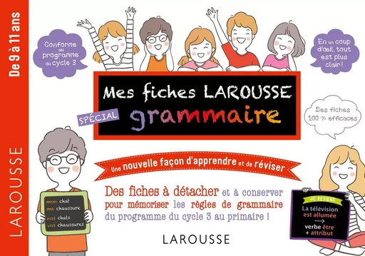 Mes fiches Larousse spécial grammaire - De 7 à 11 ans - Daniel Berlion - LAROUSSE