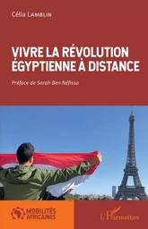 Vivre la révolution égyptienne à distance