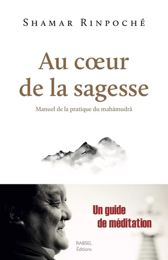 Au Coeur de la sagesse -  Shamar Rinpoché - RABSEL