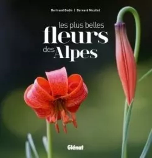 Les plus belles fleurs des Alpes - Bernard Nicollet - GLENAT