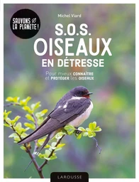 SOS oiseaux en détresse