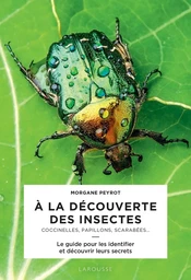 A la découverte des insectes