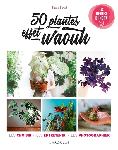 50 plantes effet waouh - Serge Schall - LAROUSSE