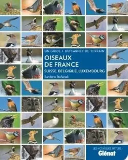 Oiseaux de France, Suisse, Belgique, Luxembourg - Sandrine Stefaniak - GLENAT