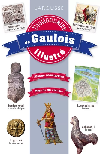 Dictionnaire 100 % visuel de gaulois -  Collectif - LAROUSSE