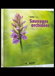 Sauvages orchidées