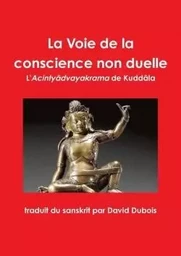 La Voie de la conscience non duelle