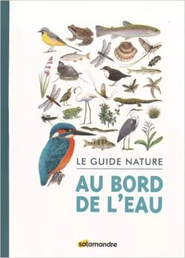 Guide nature - Au bord de l'eau -  Collectif - LA SALAMANDRE