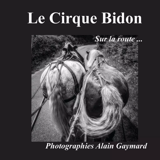 Le cirque Bidon - Alain Gaymard - BOOKS ON DEMAND