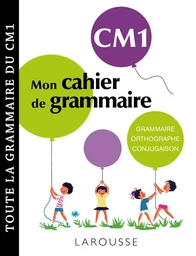 Petit cahier de grammaire LAROUSSE CM1