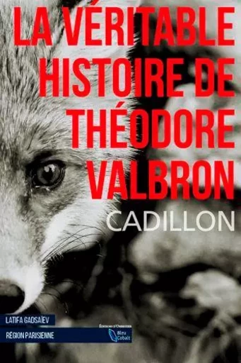 La Véritable Histoire De Théodore Valbron (Poche) -  CADILLON Bruno, Latifa GADSAIEV - D'ORBESTIER EDITIONS