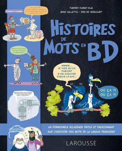 L'Histoire des mots en BD - Thierry Duirat - LAROUSSE