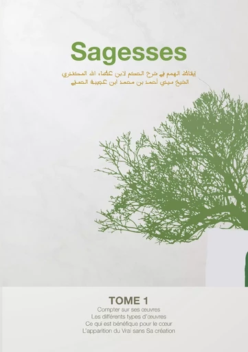 Sagesses - Ahmad Ibn Ajibah - BOOKS ON DEMAND