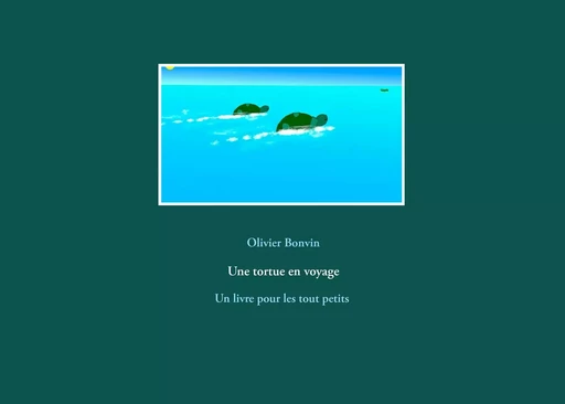 Une tortue en voyage - Olivier Bonvin - BOOKS ON DEMAND