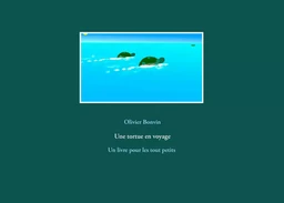 Une tortue en voyage