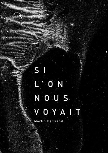 Si l'on nous voyait - Martin Bertrand - BOOKS ON DEMAND