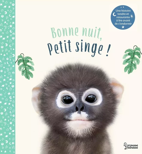 Bonne nuit petit singe - Amanda Wood - LAROUSSE