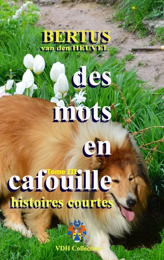 Des mots en cafouille III - Bertus van den Heuvel - BOOKS ON DEMAND